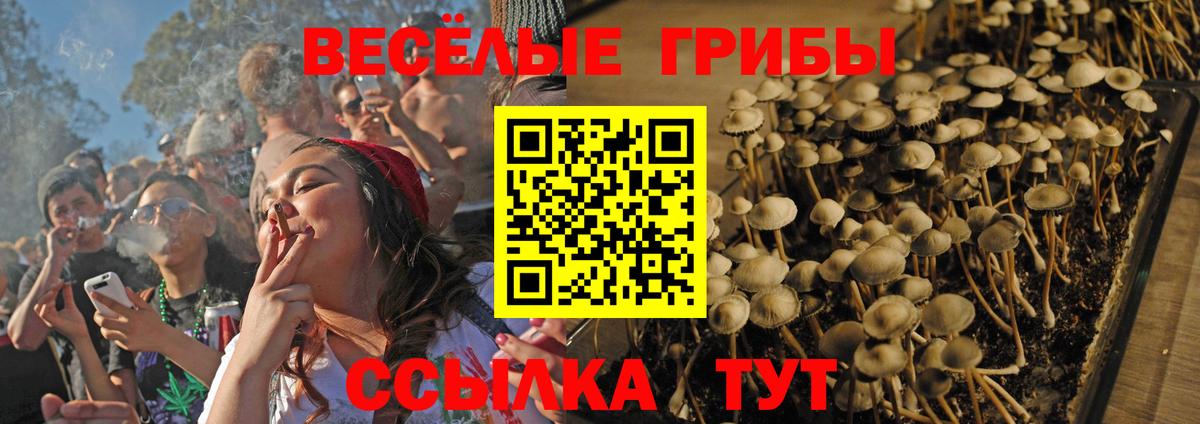Псилоцибиновые грибы мухоморы  Вход с VPN  Псилоцибиновые грибы мицелий  Лениногорск 